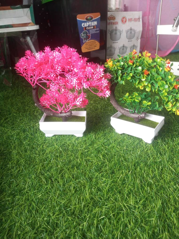 Potted Flowers